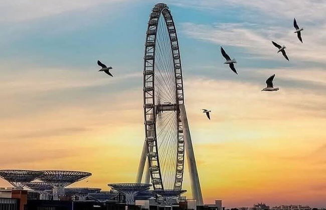 Tour privato classico e moderno di Dubai da Rasalkhima - Foto 11