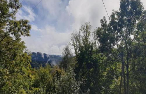 Apartment in Kleines Wiesental - Foto 59