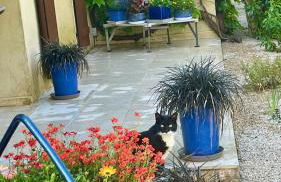 Azur Blue Villa; Rural Peace with private pool - Foto 18