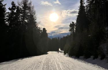 Premium Apartment am Haidersee und Reschensee - Resort Haideralm Schöneben - Foto 78