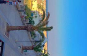 Panorama Belvedere - Foto 12