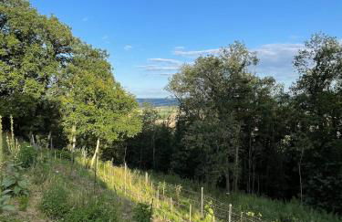 Villa am Keltenberg, La Stella, Bonifatiusroute - Photo 13