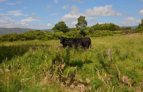 3 Bed in Dinnet 53150 - Foto 20