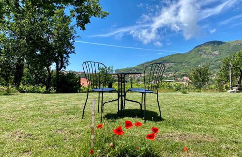 Tenuta Novecento Bio Agriturismo - Foto 32