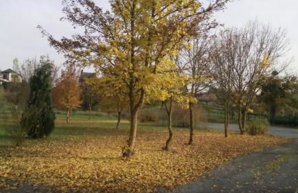 Chalet Domaine du Hulobiet - Foto 42