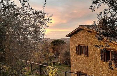 Podere La Vigna Locazione Turistica - Photo 33