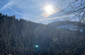 Residence Schneiderhof - Foto 8