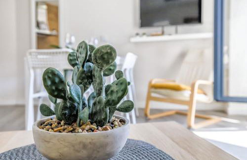 Córdoba Terrace Apartment - Photo 25