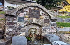 Gästehaus Fehrenbacher Schweiz - Foto 8