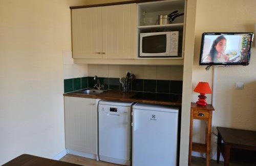 Appartement AVEC WIFI CHEZ FLO T2 Résidence BELLES RIVES Argentat - Foto 18