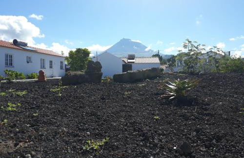 Casas do Verdelho - Photo 13