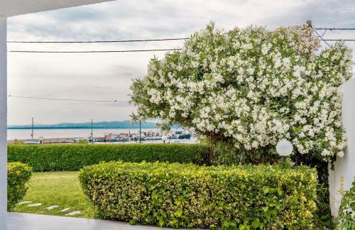 Seashell by halu! - Foto 23