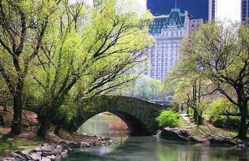 Murray Hill East Suites - Extended Stay - Photo 39