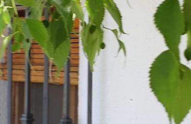 Cortijo Balzain - Foto 2