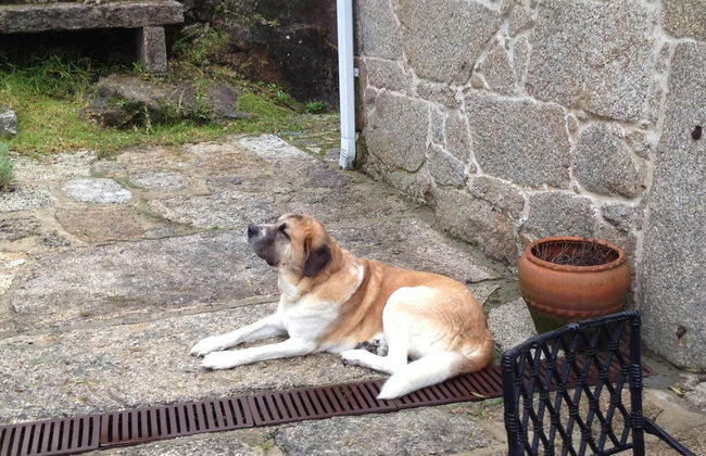 Casa Rural O'Pozo - Foto 58