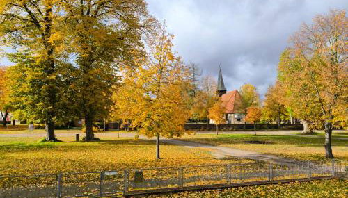 FeWo Elbtalaue III - Foto 3