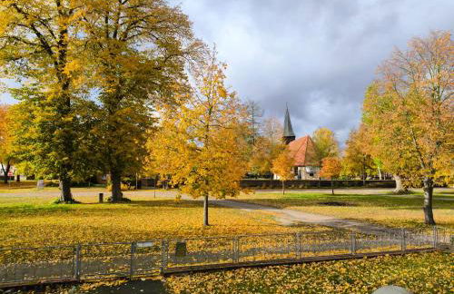 FeWo Elbtalaue III - Foto 3