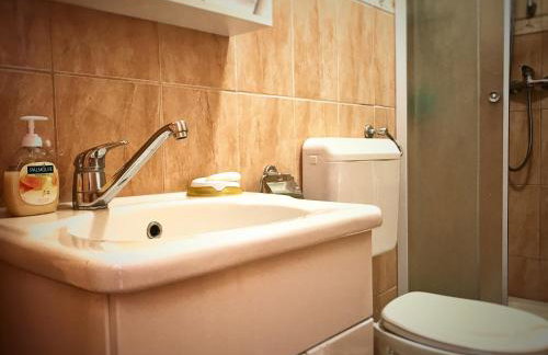 Ruzicin dvor - Photo 27