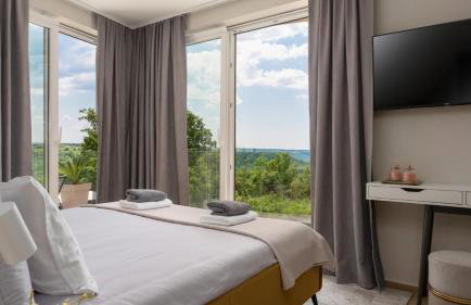 Modern villa Venta with jacuzzi and pool in Buje - Foto 6