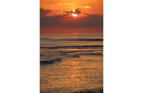 Les Lauriers N°3 - Soleil et repos - Foto 18