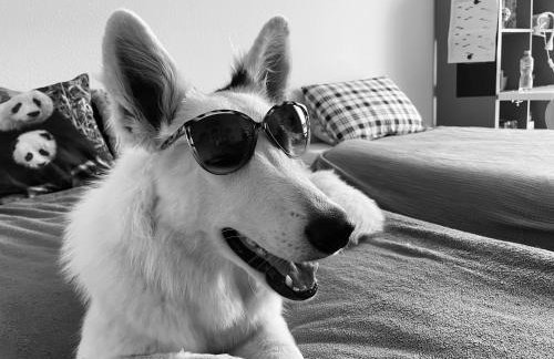 Rifugio Futopia - start here your journey to the discovering of the Alpi Graie - Foto 53