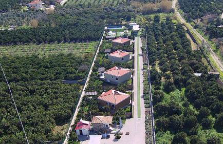 Desa Green Homes - Photo 13