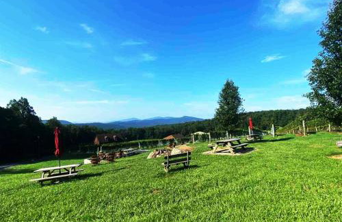 Blue Mountain Getaway Hot tub, Winery, Game Room - Foto 51