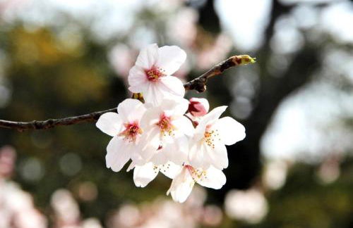 paysmillereves - Foto 42