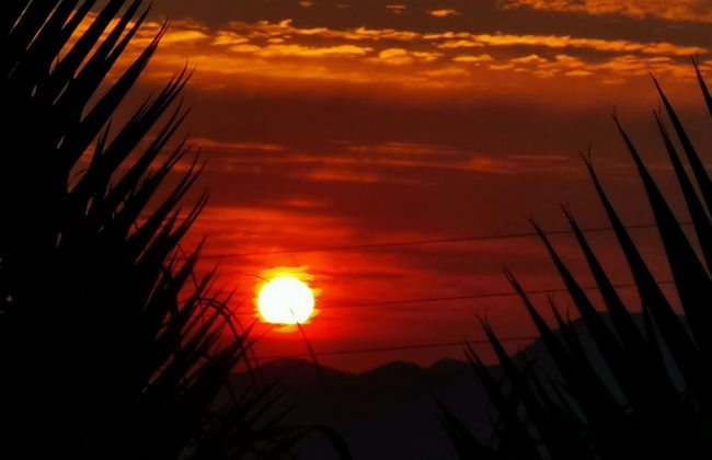 La Fattoria dei Nonni Resort dell'Etna - Foto 48