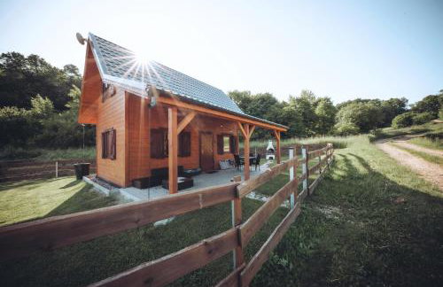 Szalejówka Domki - Foto 46