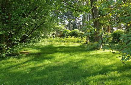 L'atypique du buisson de la gariole - Foto 66