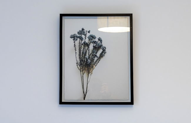 2 Bed Flat with Parking Near Waterfront - Foto 47