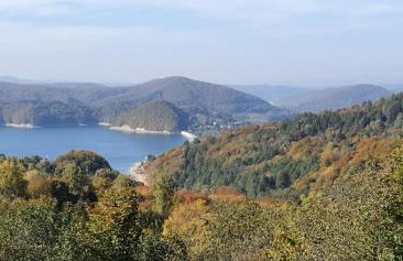 Domki Pod Lasem - Photo 40