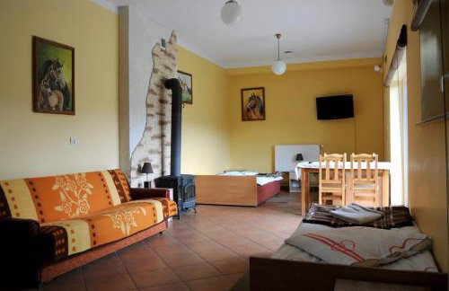 Mimoza Gospodarstwo Agroturystyczne - Foto 6