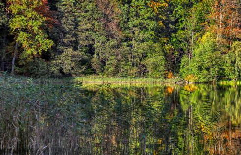 Ferienhaus Boitzenburger Land - Foto 24