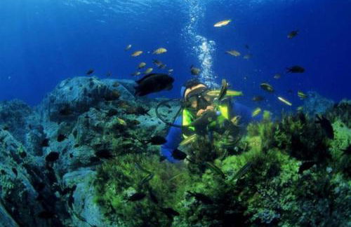 Vos vacances à Lama France Corse - Foto 37