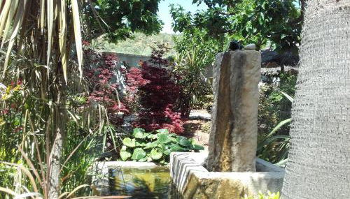 Studios Domaine l'Oliveraie - Foto 3