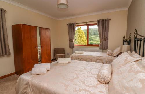 Drainbyrion Farm House - Foto 21