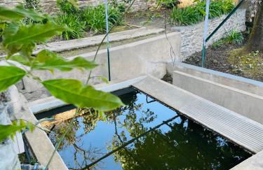 Quinta da Xistosa - Foto 16