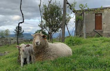 Quinta de Fonte Coberta - Foto 17