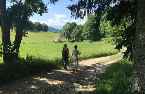 Le Chevreuil - Foto 13