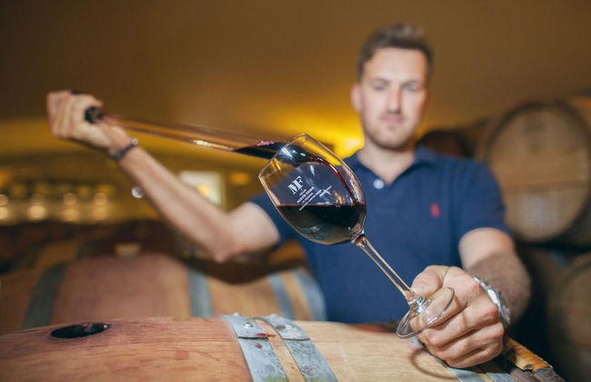 Sa Perafita - Foto 19