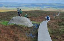 Holllie View - Foto 2