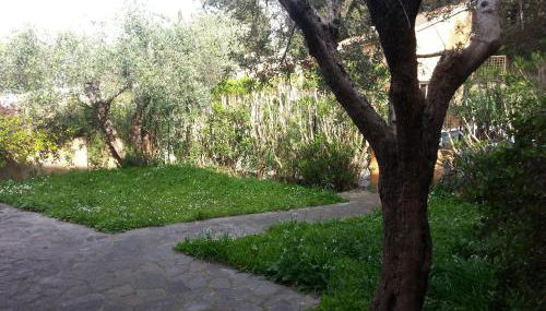 Green House - Foto 2