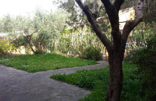 Green House - Foto 2