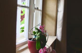 Ferienwohnung Rechler - Foto 12