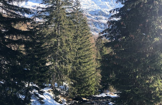 Flatty La Thuile - Little Fish - Foto 29