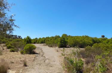 Blue&YellowHouse - Foto 11