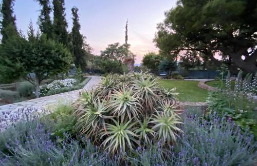 Villa-Agave , by the sea in Porto-Rafti outside Athens - Foto 23