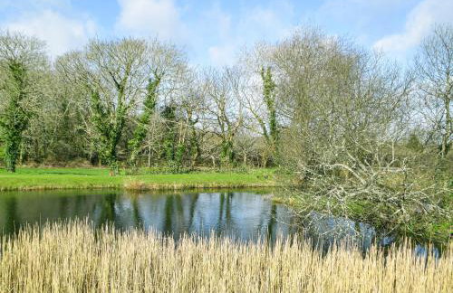 Ty'n-Y-Canol - Foto 18